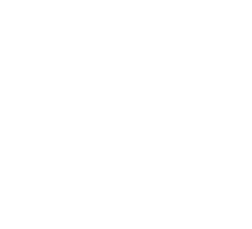 DomusX
